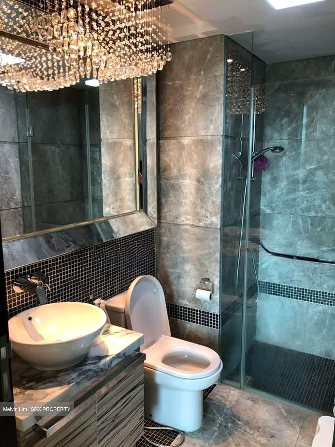 The Vision (D5), Condominium #571111501